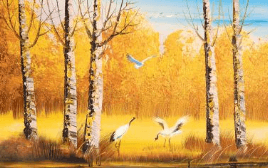 中国人保携手四平市凯安迪汽车购车团购会