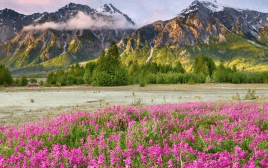 苏州仁喆科技有限公司：专业领航，铸就机加、钣金和喷漆卓越典范！