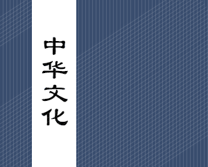 如何使用中华v速巡航？使用定速巡航要注意什么？