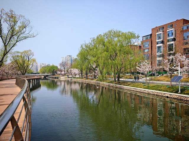 北京摇号真的是在搞特殊吗？从取消限购争议看首都的治理逻辑